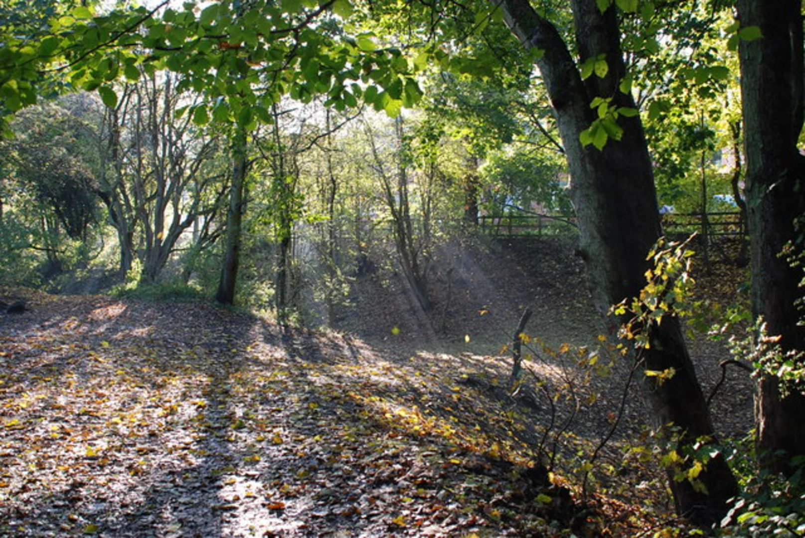 An image depicting the trail Saltwells Local Nature Reserve Loop and its surrounding area.