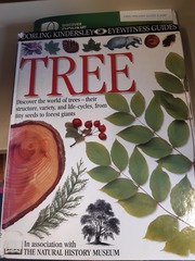 Paul Mullally  avatar