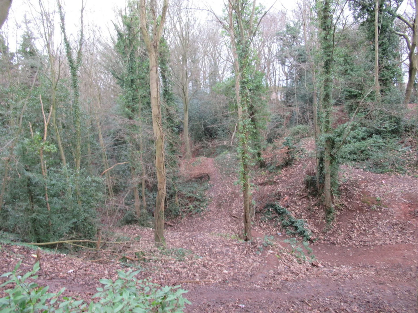 An image depicting the trail Cudham to Pratt's Bottom Loop and its surrounding area.