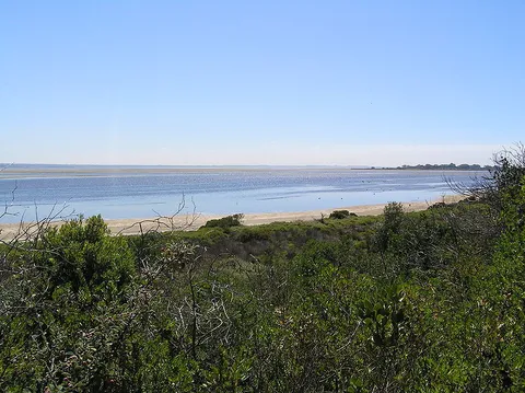 Queenscliff Dune Walk