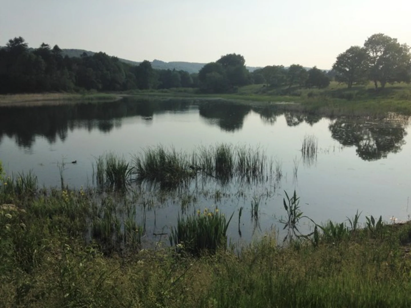 An image depicting the trail Chingford Pond, The Warren and East Wood Loop and its surrounding area.
