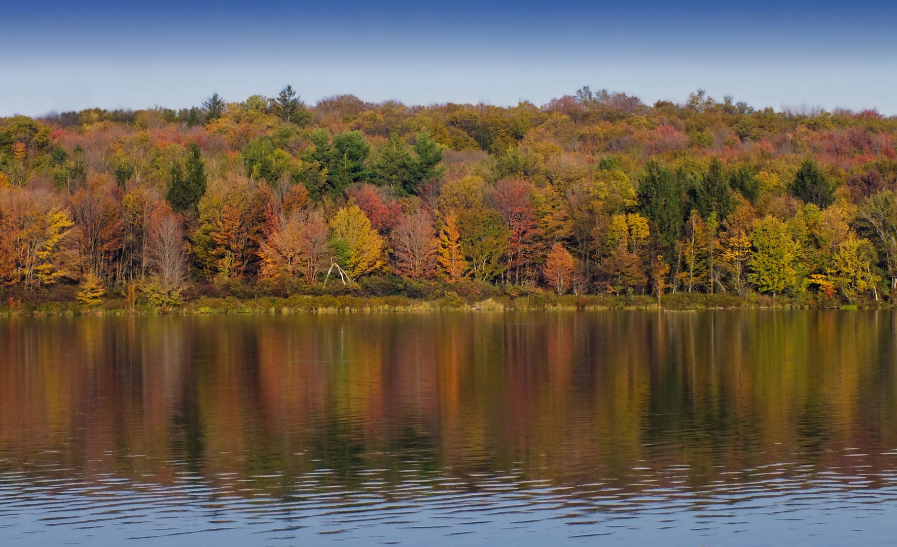 An image depicting the trail Boundary Trail - Promised Land and its surrounding area.