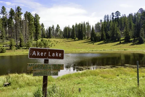 An image depicting the trail Aker Lake Trail and its surrounding area.