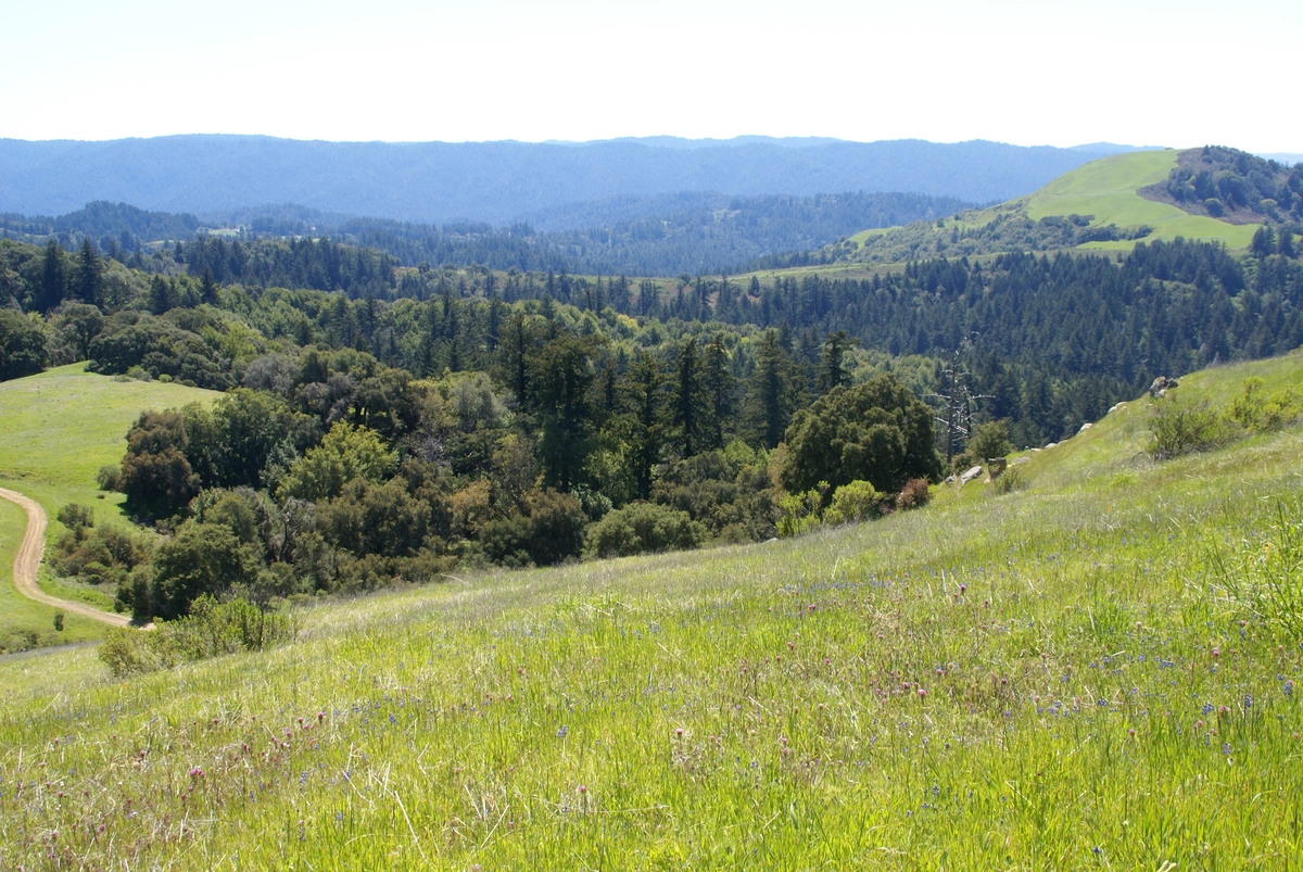Horseshoe Lake, Alpine Pond and Borel Hill Loop