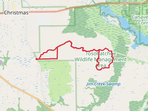 Tootoosahatchee Wildlife Management Area Loop