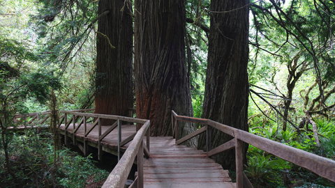 James Irvine Loop Trail