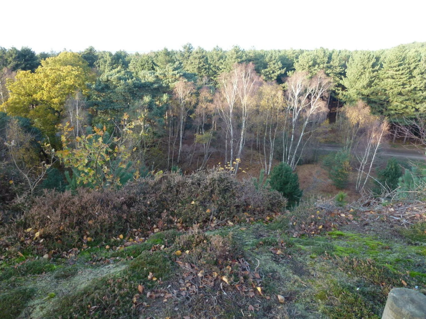 An image depicting the trail Wolferton and its surrounding area.