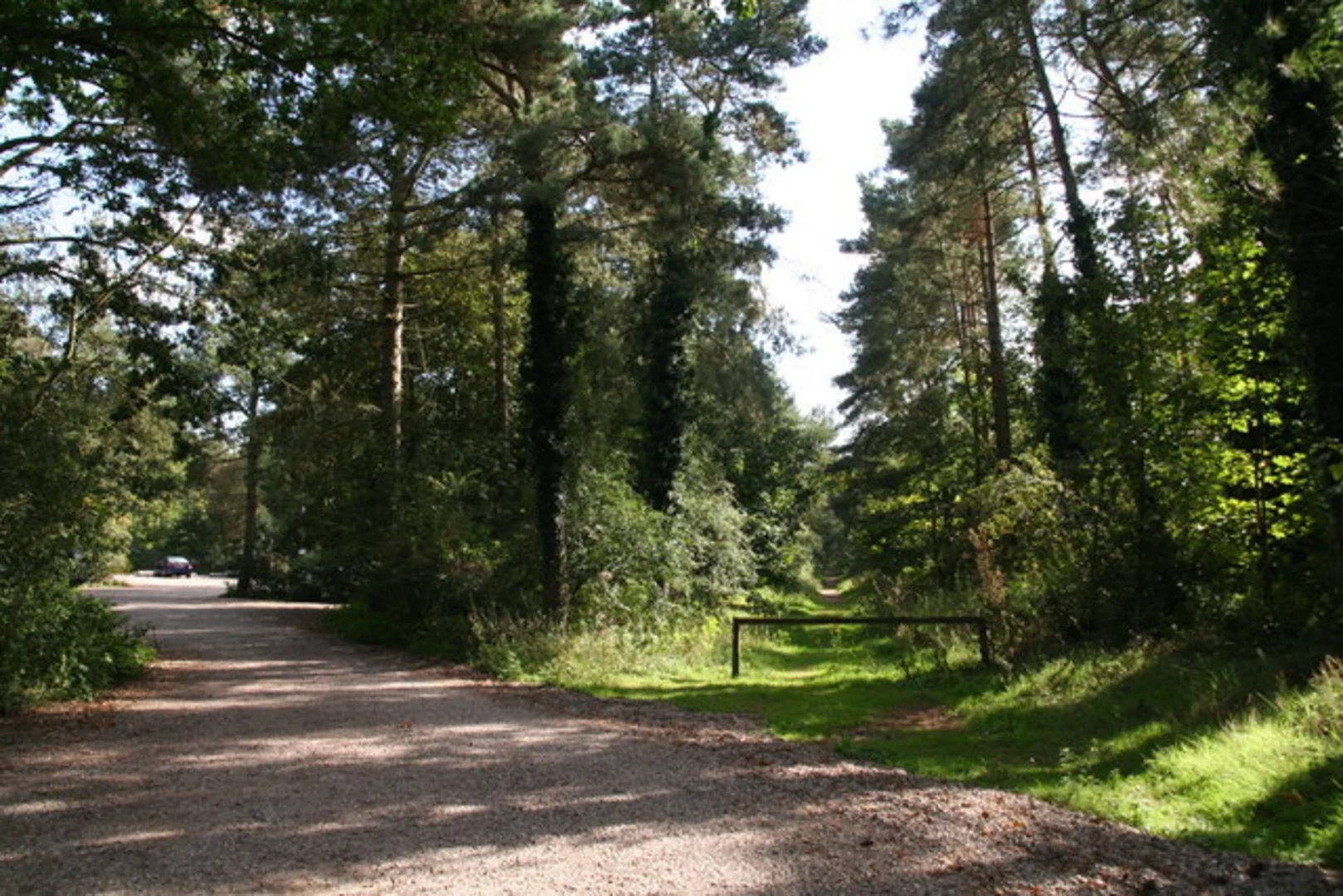 An image depicting the trail Holt Country Park Loop and its surrounding area.