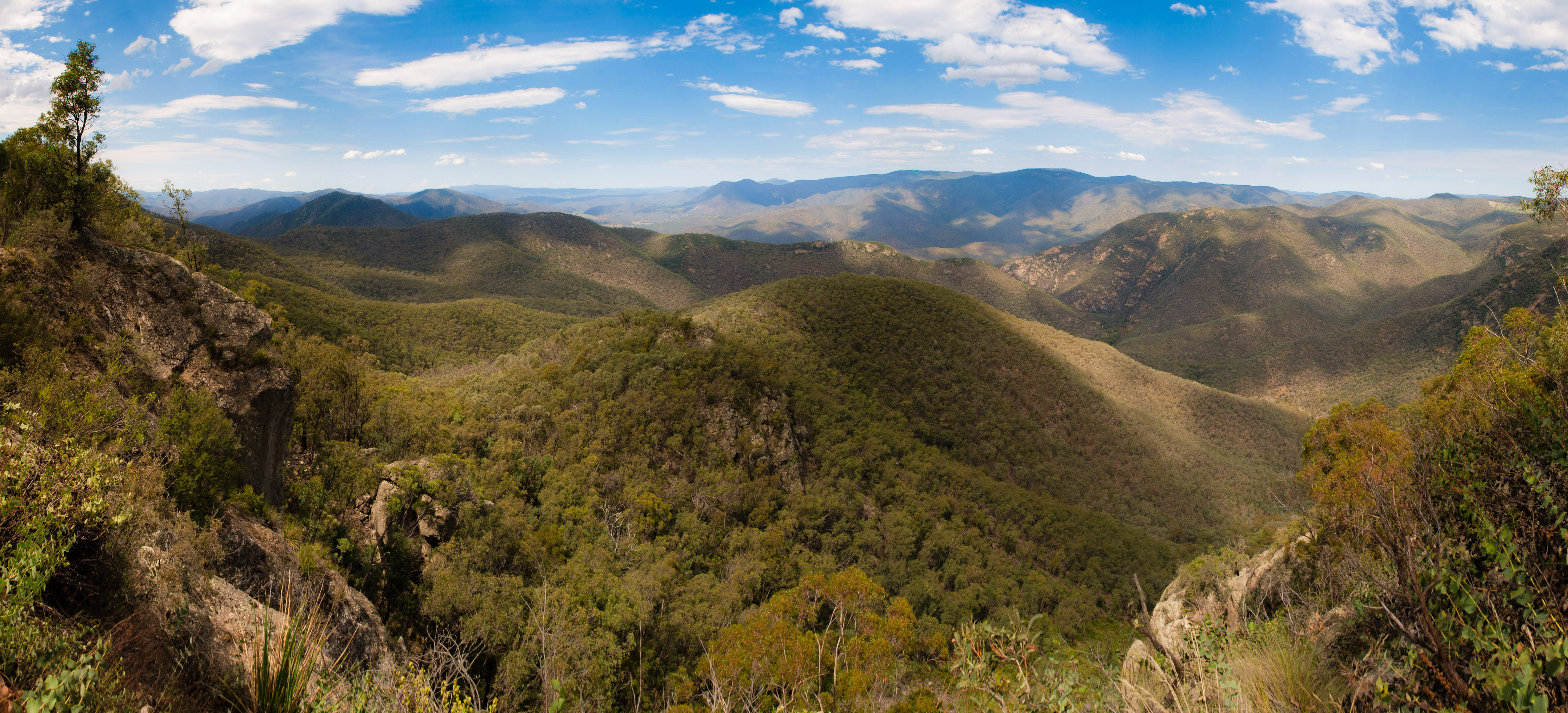 An image depicting the trail Snowy River National Park and its surrounding area.