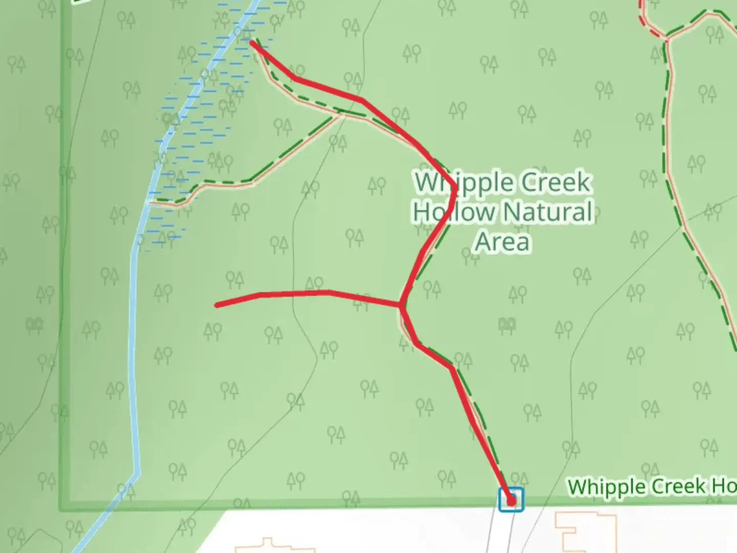 An image depicting the trail Whipple Creek and its surrounding area.