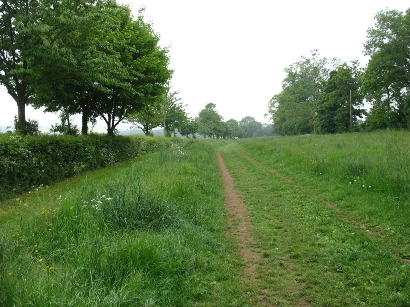 An image depicting the trail Dover’s Hill and its surrounding area.