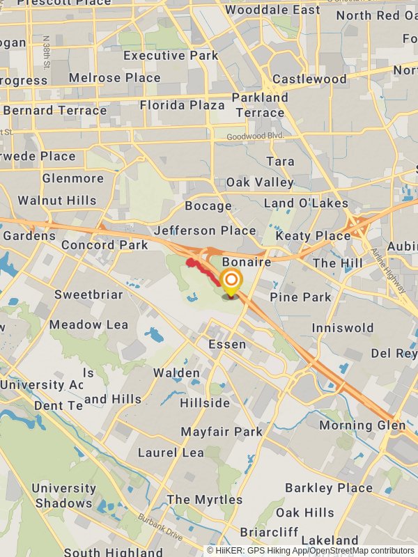 Mangolia Beech and Black Swamp Trail