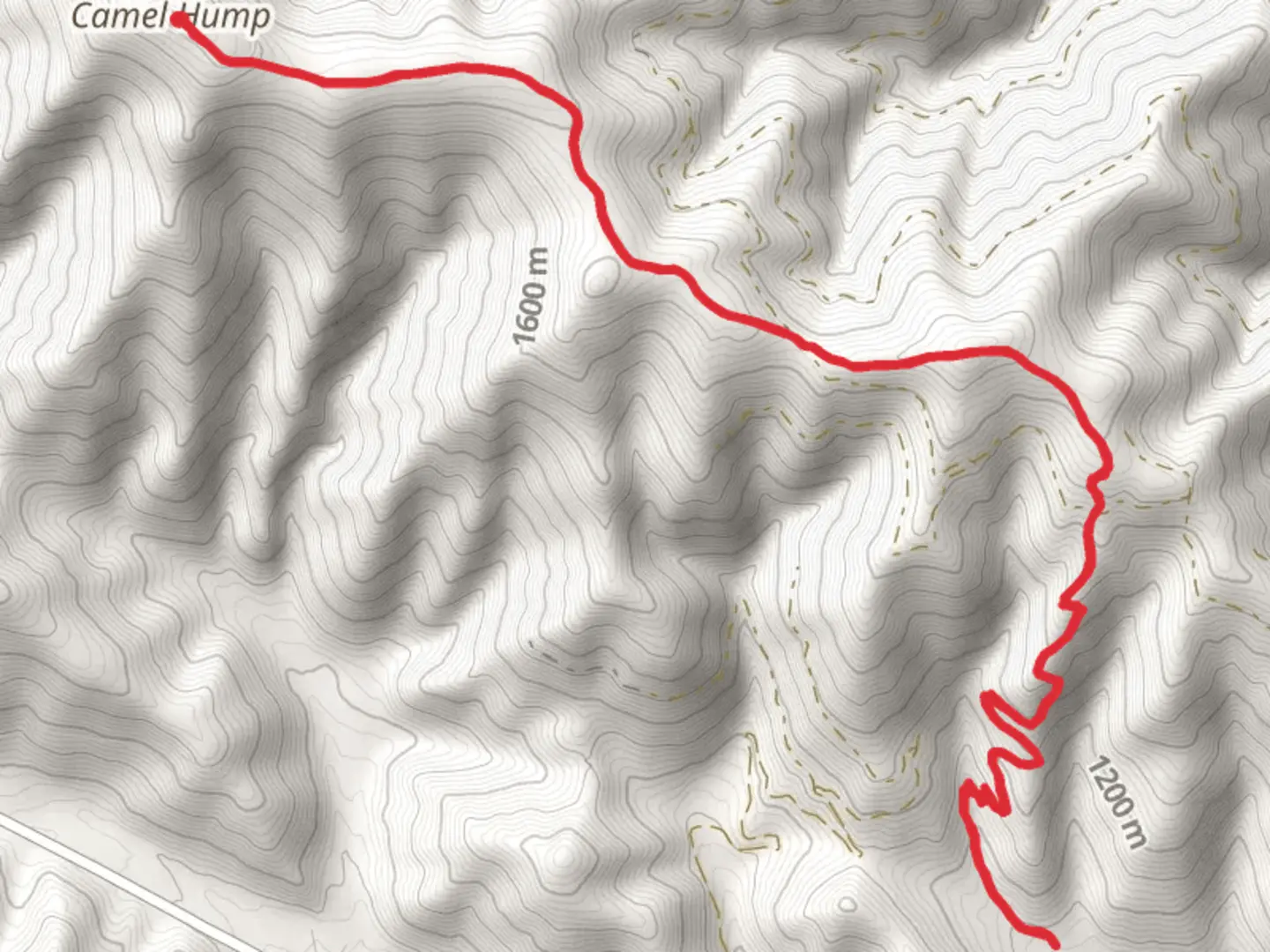 An image depicting the trail Mayo Gulch Trail and its surrounding area.