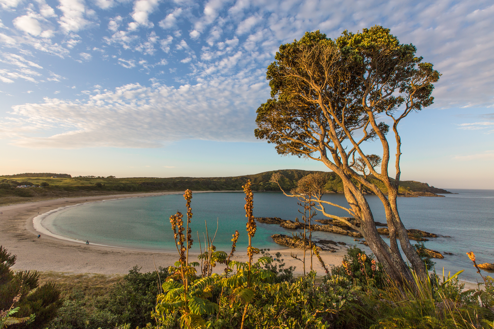 An image depicting the trail Maitai Bay Headland Track and its surrounding area.