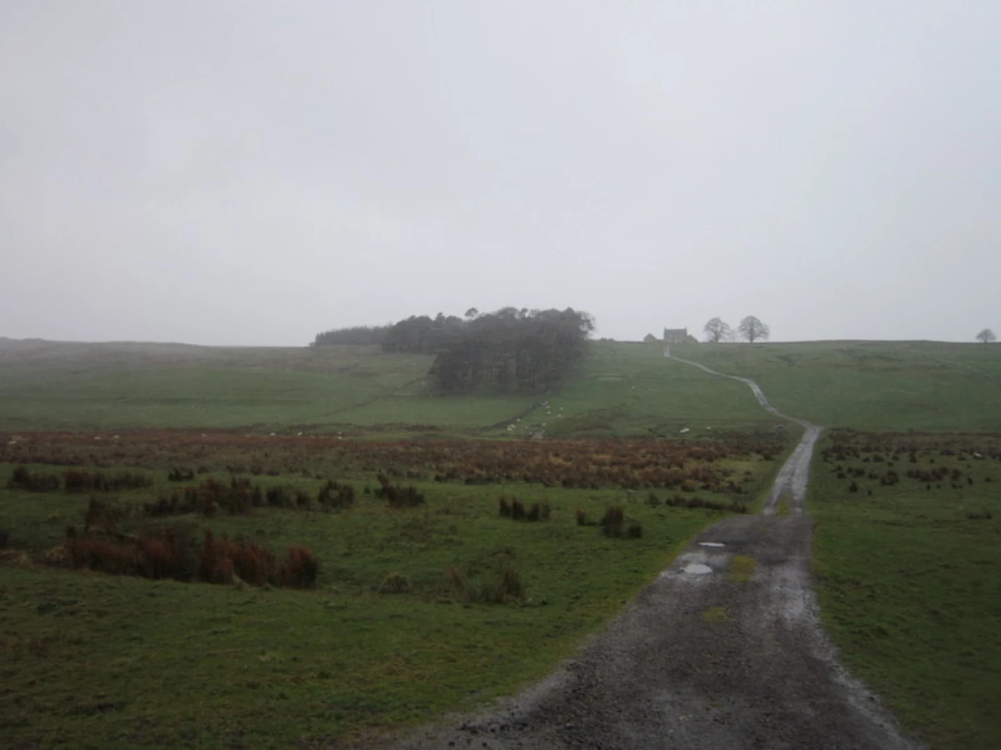 An image depicting the trail Greenhead to Once Brewed Walk and its surrounding area.
