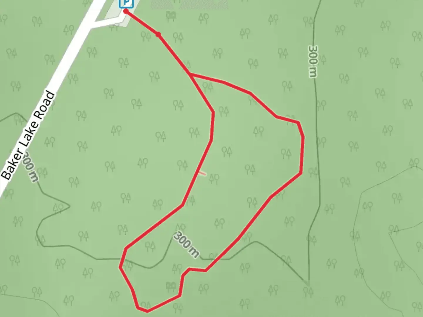 An image depicting the trail Shadow of the Sentinels Short Trail and its surrounding area.