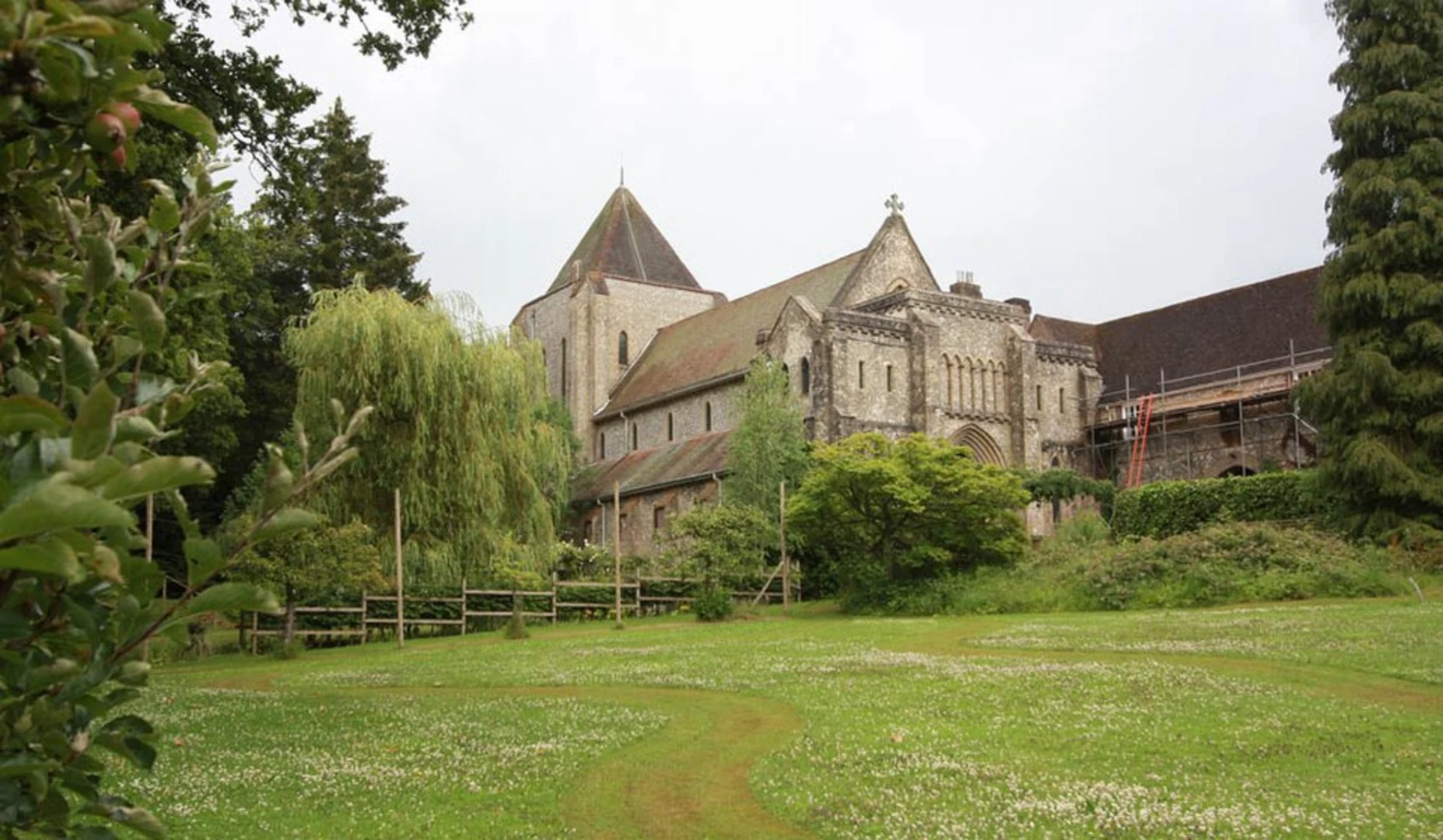 An image depicting the trail Kings Hill and Collier Wood Loop and its surrounding area.