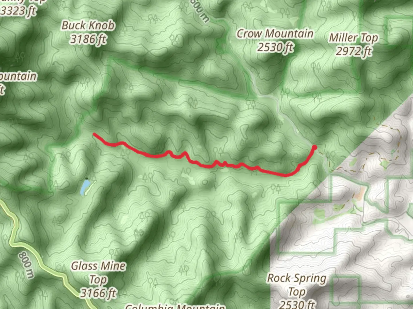 An image depicting the trail Waters Creek and its surrounding area.