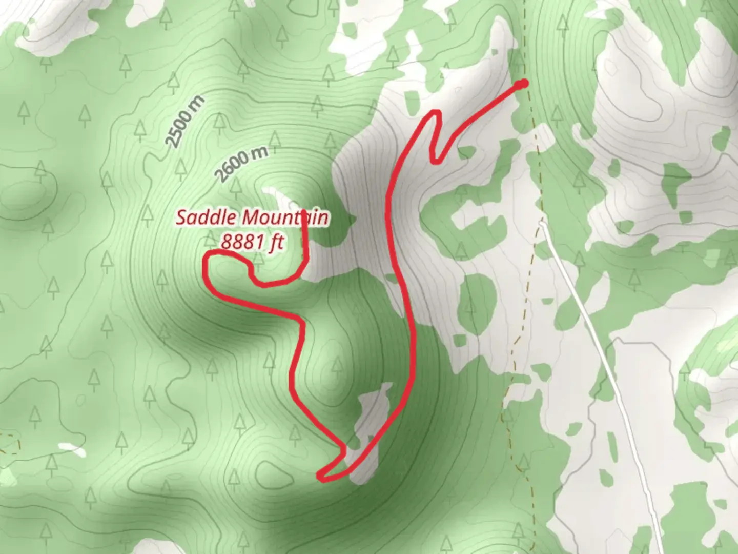 An image depicting the trail Saddle Mountain Walk and its surrounding area.