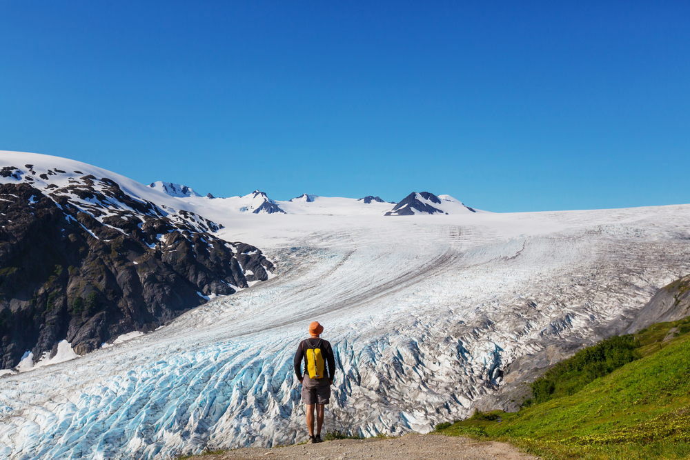 An image depicting the trail Kenai Fjords National Park and its surrounding area.