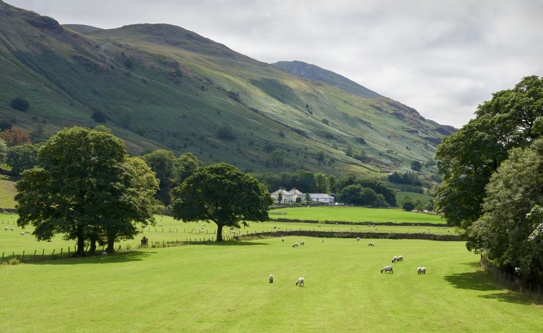 An image depicting the trail Raise and Helvellyn Loop via Thirlmere and its surrounding area.
