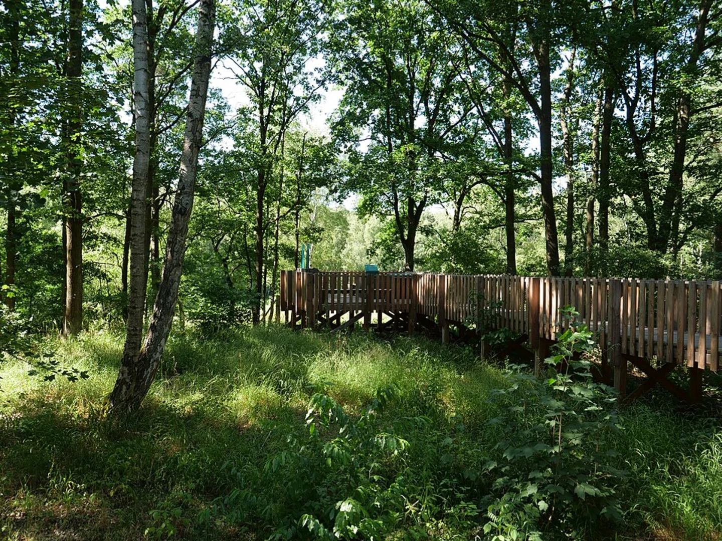 An image depicting the trail Teufelssee, Pechsee Grunewald and Barssee Loop and its surrounding area.