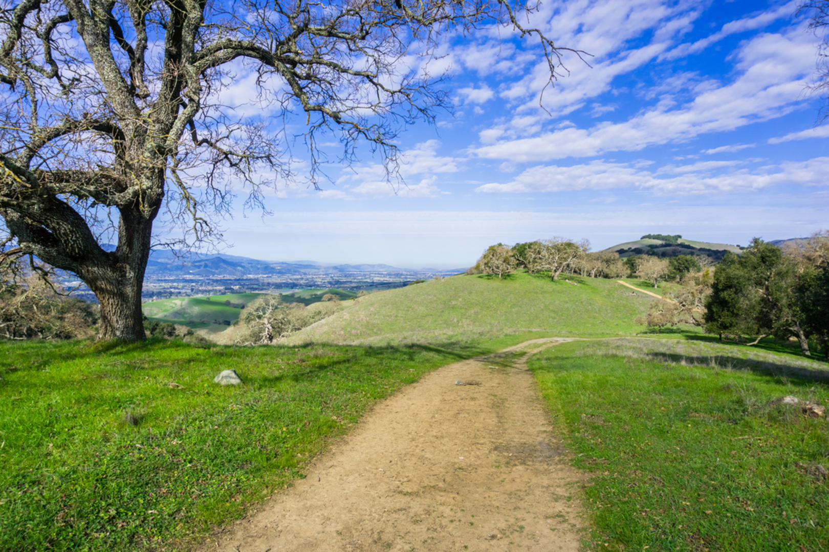 An image depicting the trail First Dinkey Lake and Coyote Lake via Theodore Solomons Trail and its surrounding area.