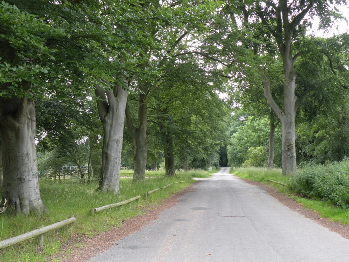 An image depicting the trail Knettishall Heath Country Park and its surrounding area.