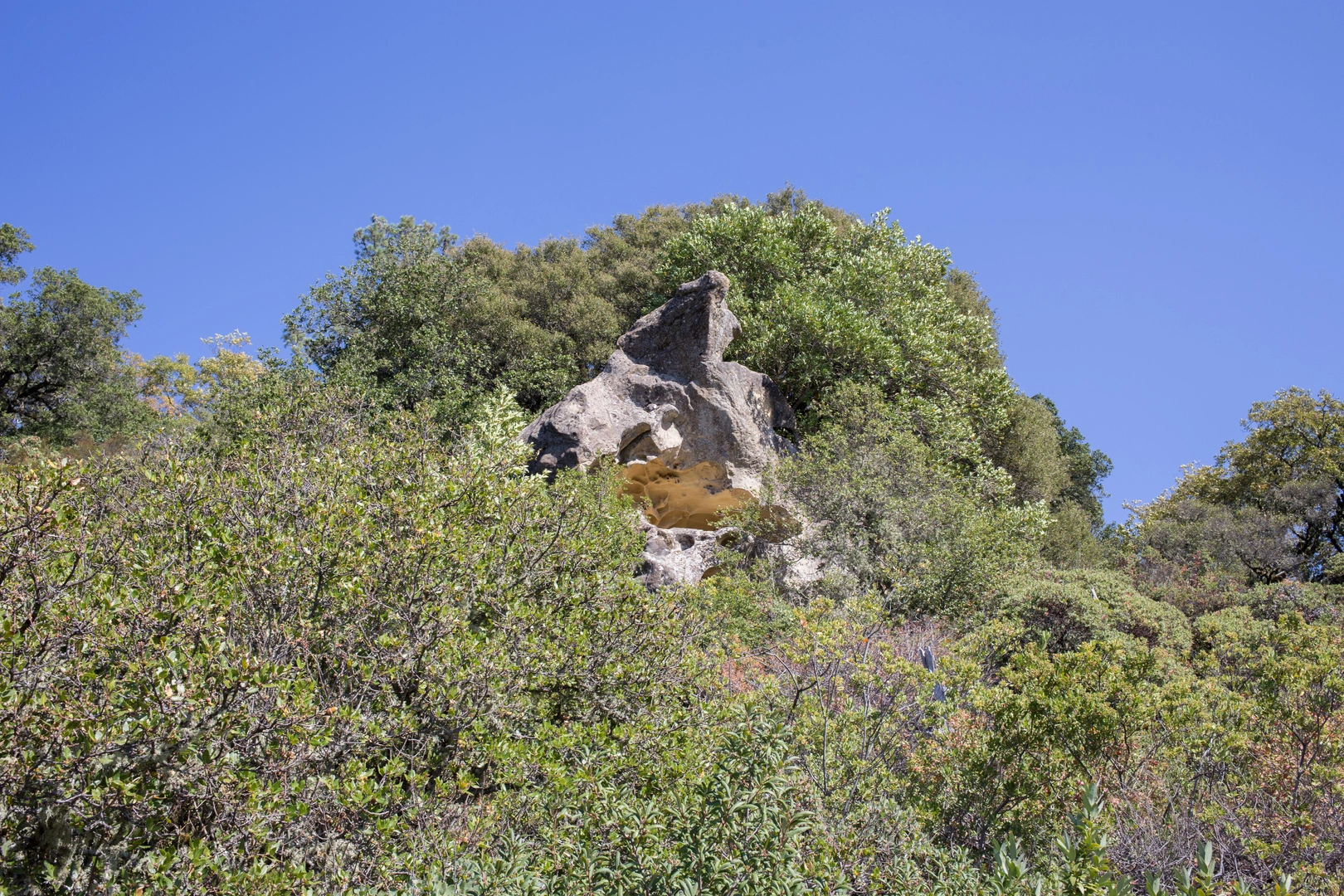 An image depicting the trail Varian Peak and Goat Rock Loop via Saratoga Gap Trail and its surrounding area.