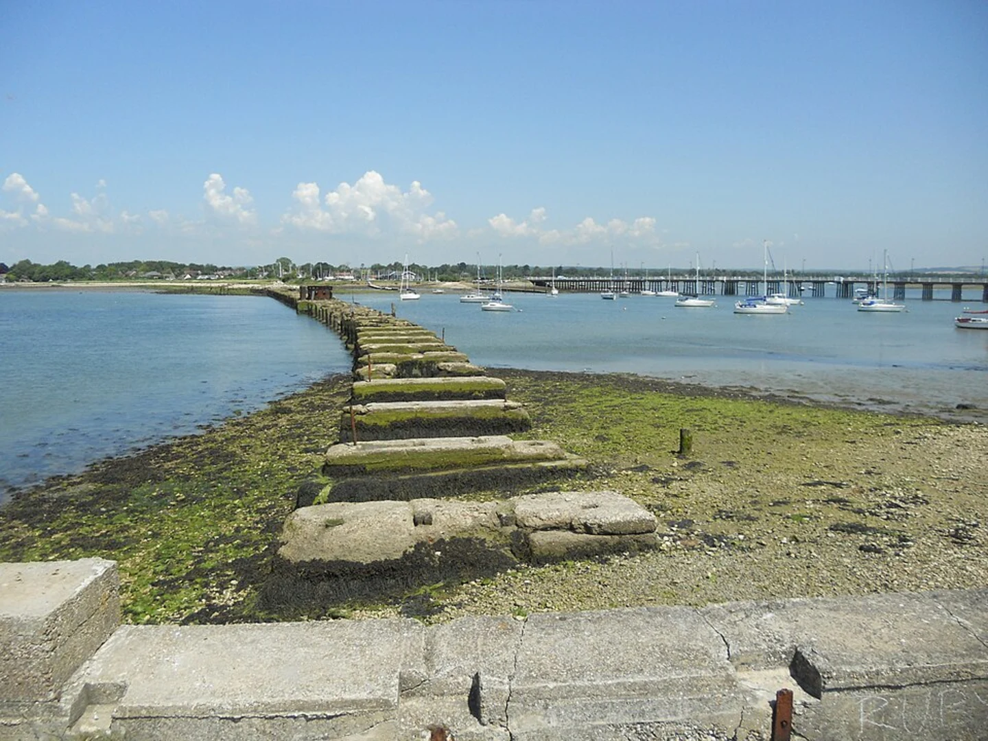 An image depicting the trail Sandy Point Nature Reserve and its surrounding area.