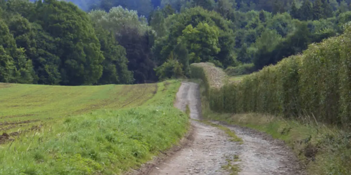 Glasshampton Monastery and Astley Church from Shrawley