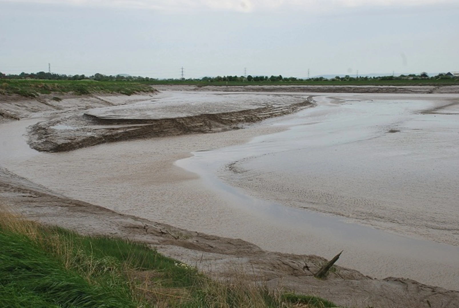 An image depicting the trail Bridgwater to Combwich Walk via RIver Parrett and its surrounding area.