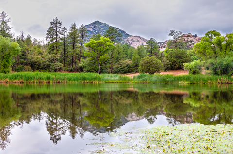 An image depicting the trail West Lake Trail and its surrounding area.