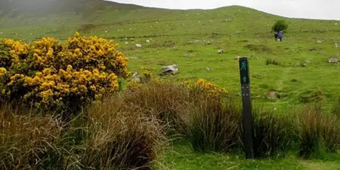 An image depicting the trail Lough Curra Trail and its surrounding area.