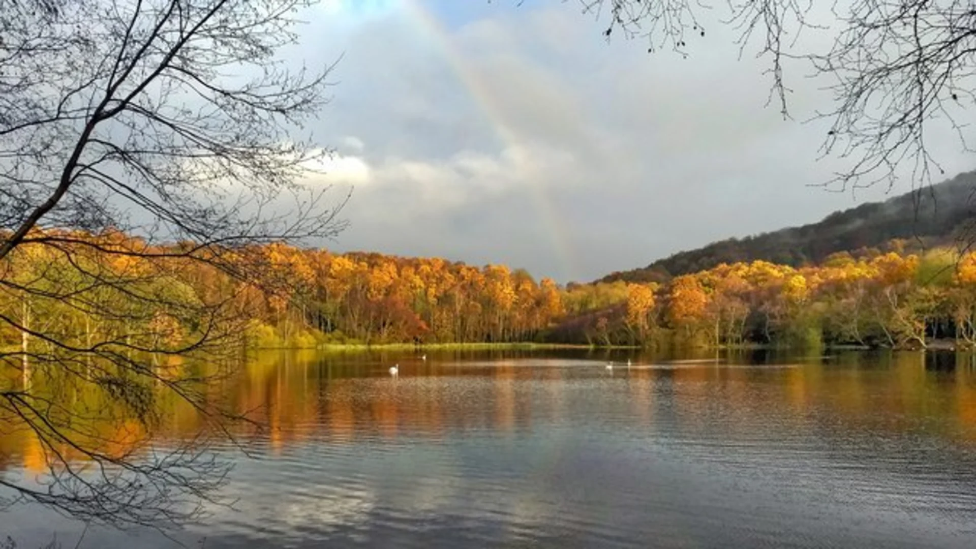 An image depicting the trail Gormire Lake Loop and its surrounding area.