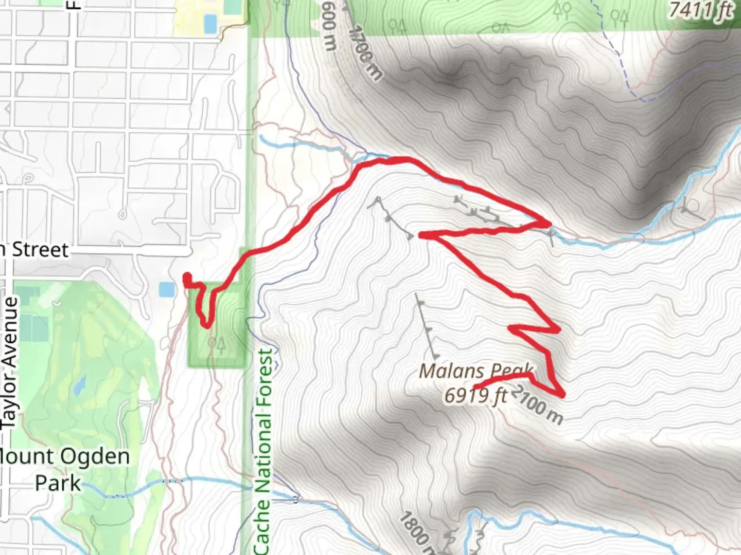 An image depicting the trail Taylor Canyon Trail and Malans Basin Trail and its surrounding area.