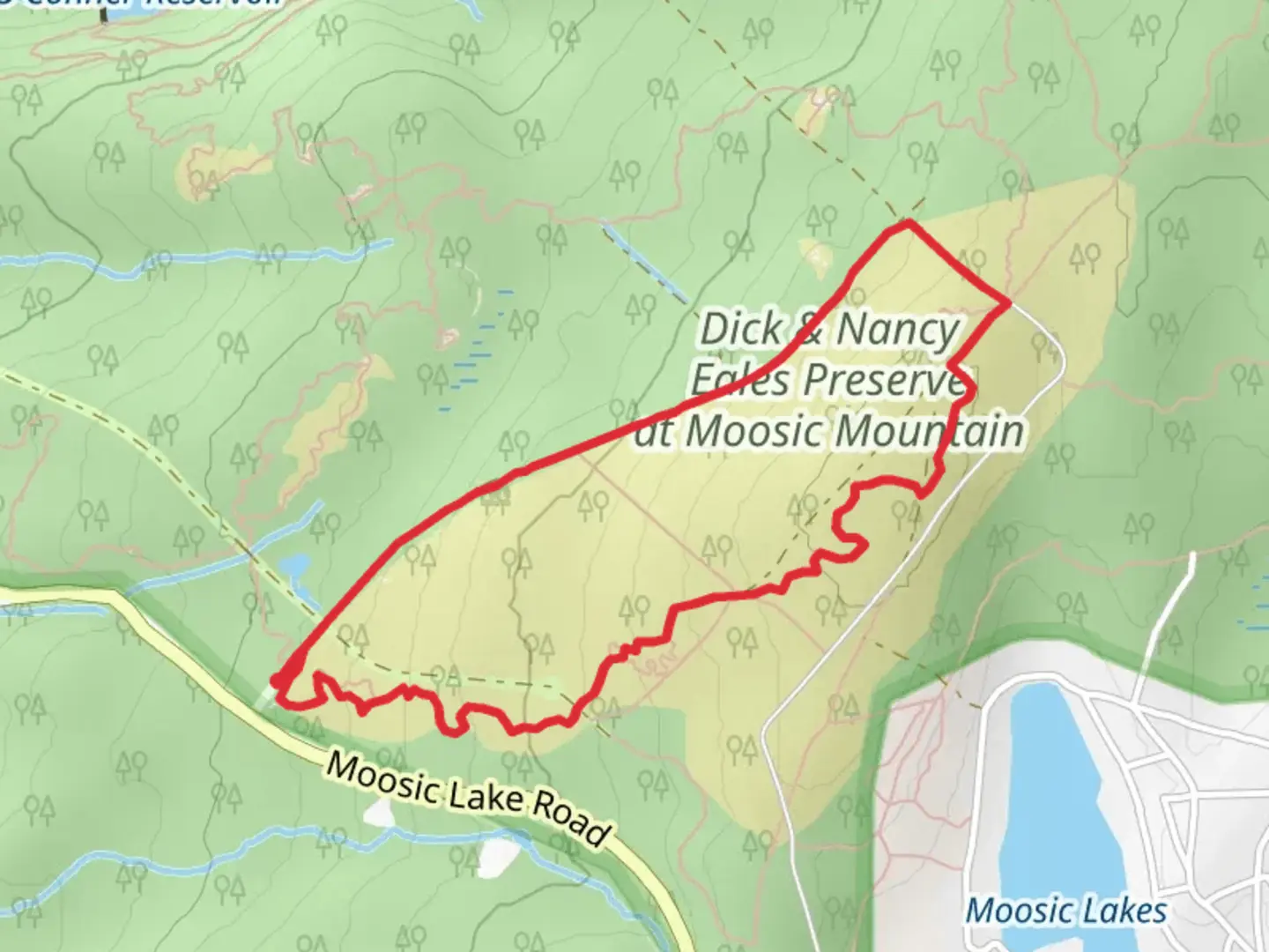 An image depicting the trail Blueberry Trail Loop and its surrounding area.