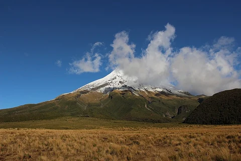 The Dome via Dover Track and Bells Falls Track