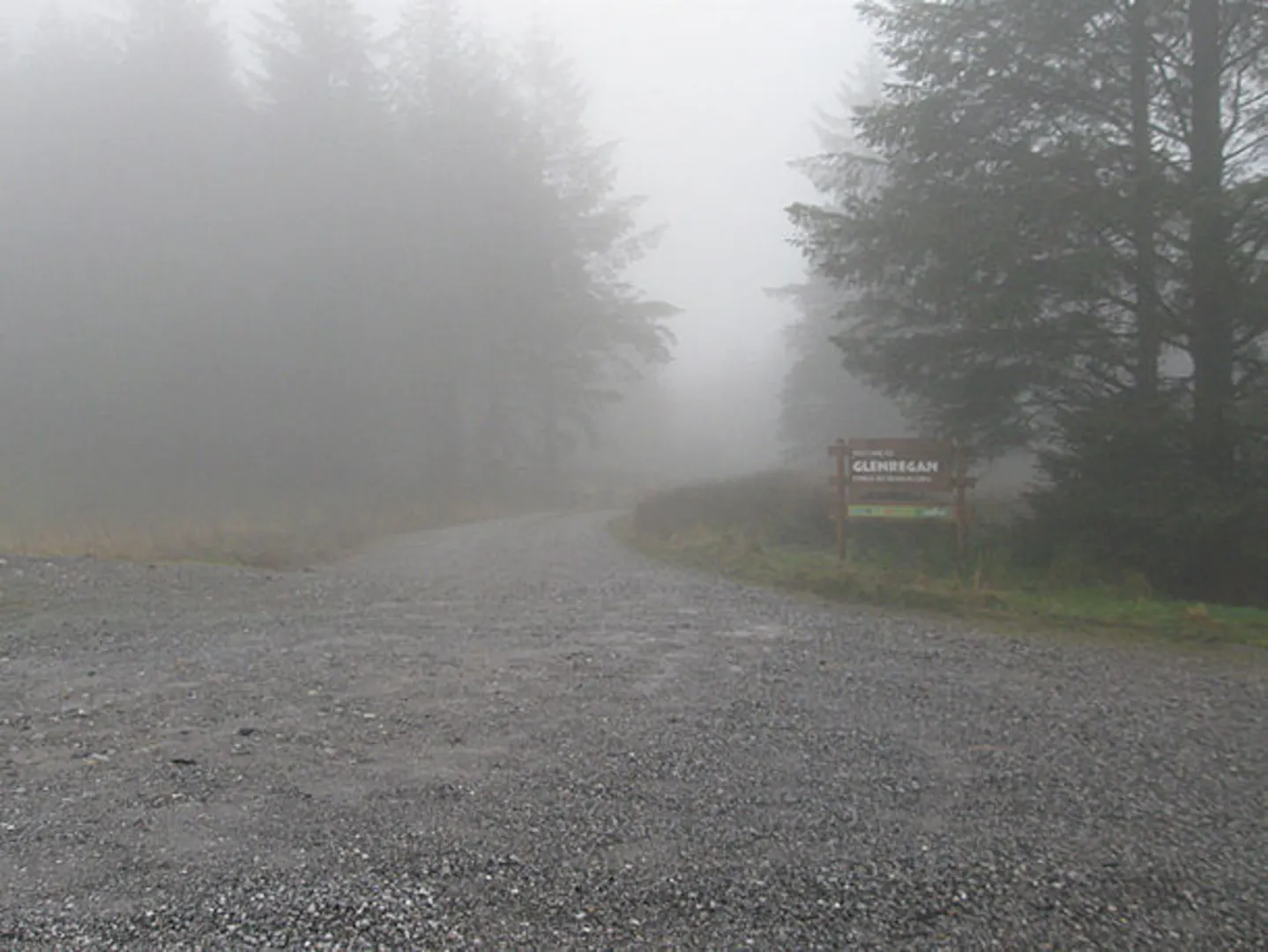 An image depicting the trail Glenregan Forest Recreation Area - Glenregan Loop and its surrounding area.