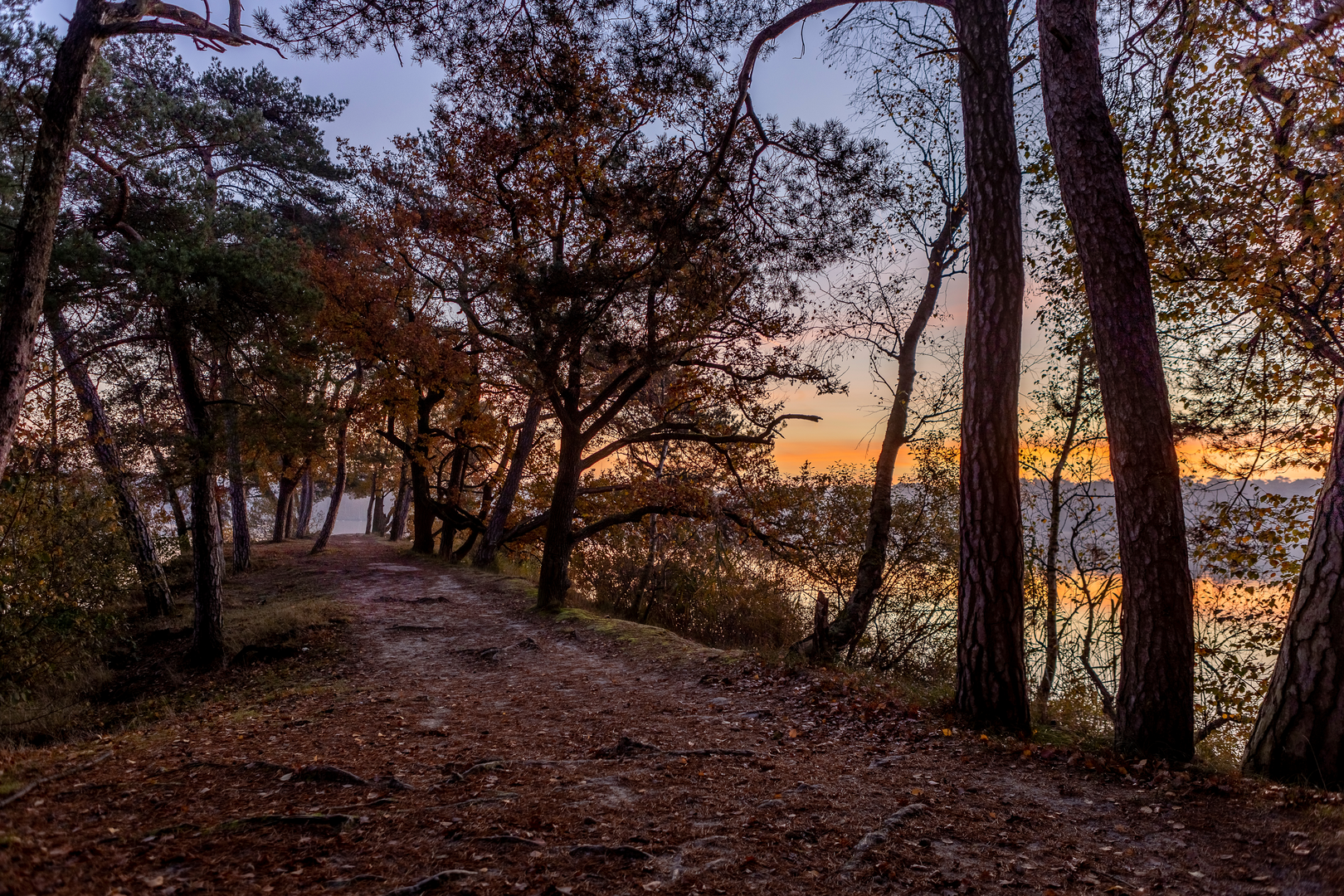 An image depicting the trail De Ijzeren Man, Hooibroeken, Vrachelse Heide and Achter de Keten Loop and its surrounding area.