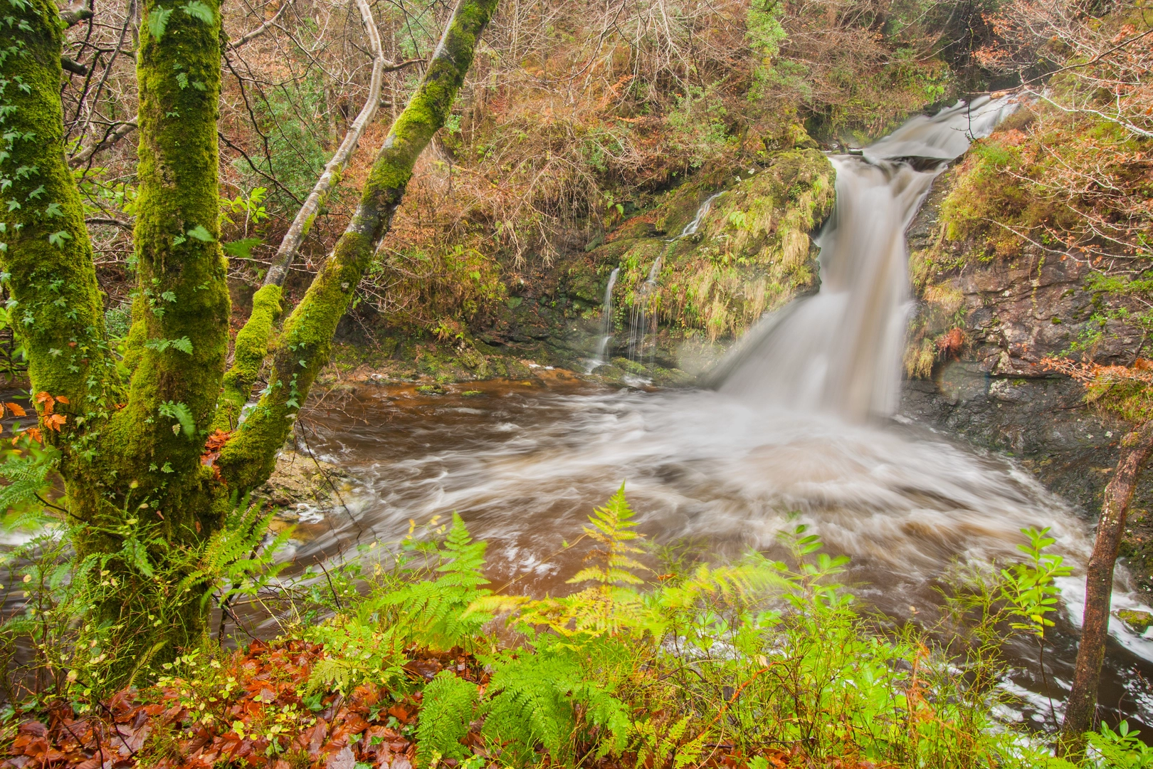 An image depicting the trail Tournmakeady Nature Walk and its surrounding area.