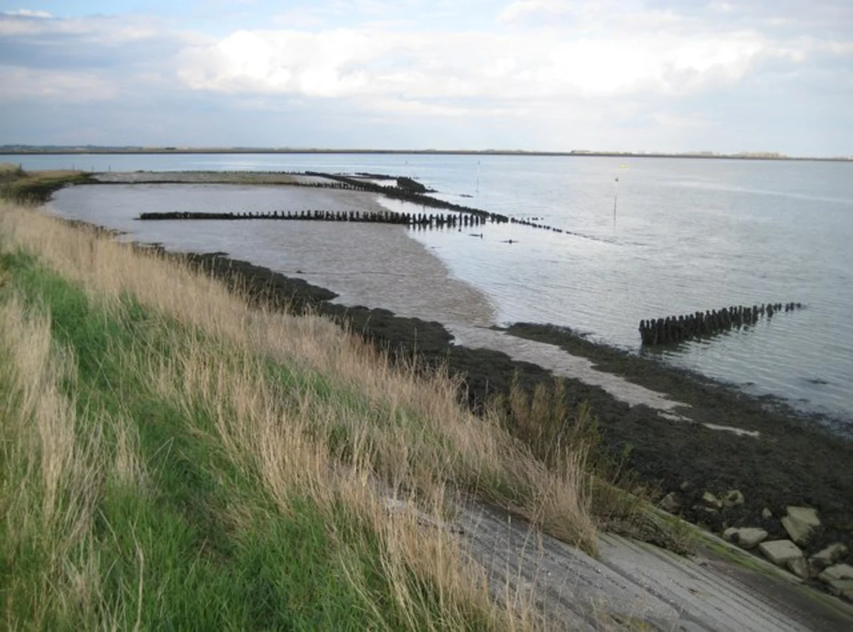 Wallasea Island Loop