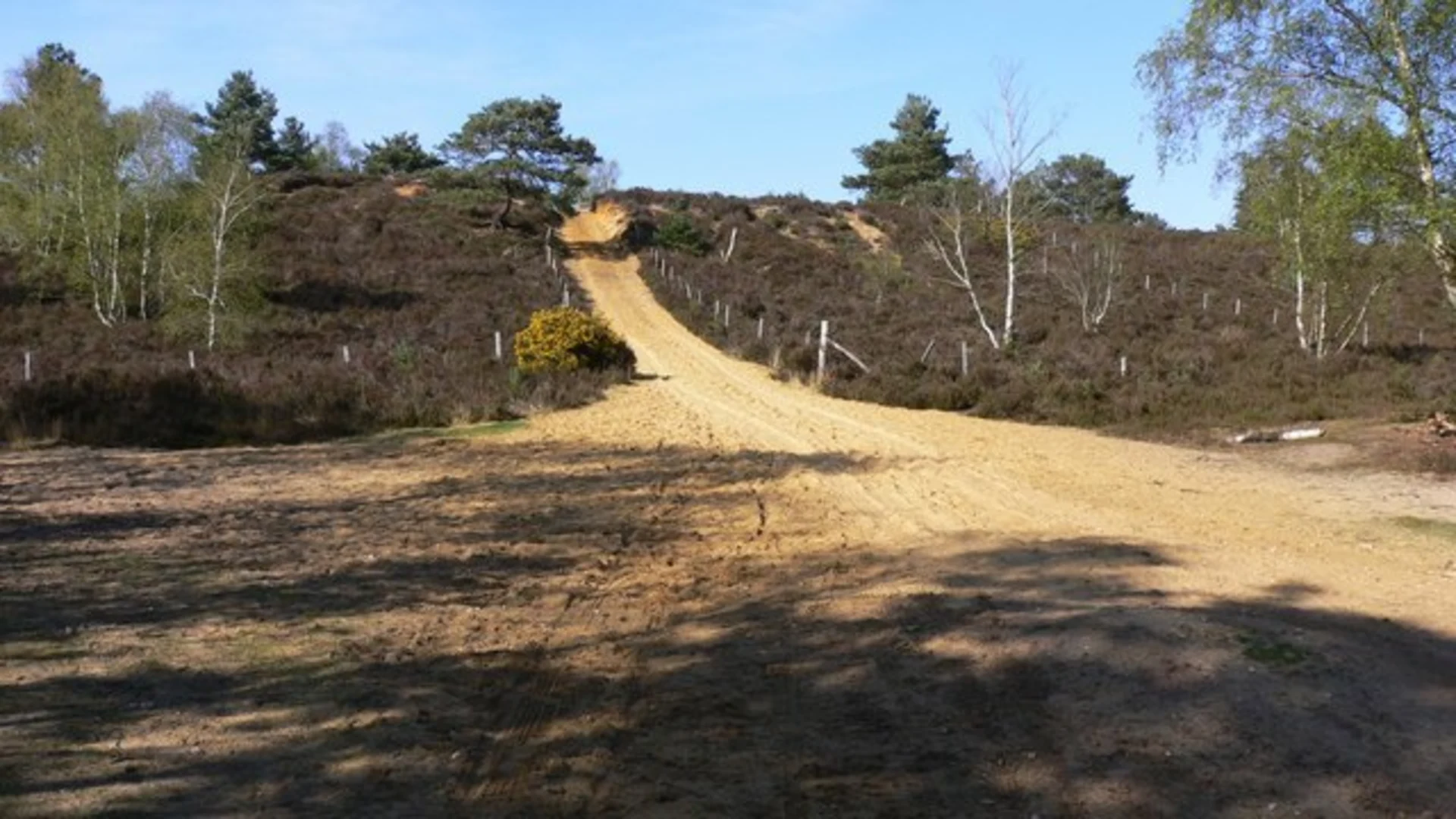 An image depicting the trail Hankley Common Loop and its surrounding area.