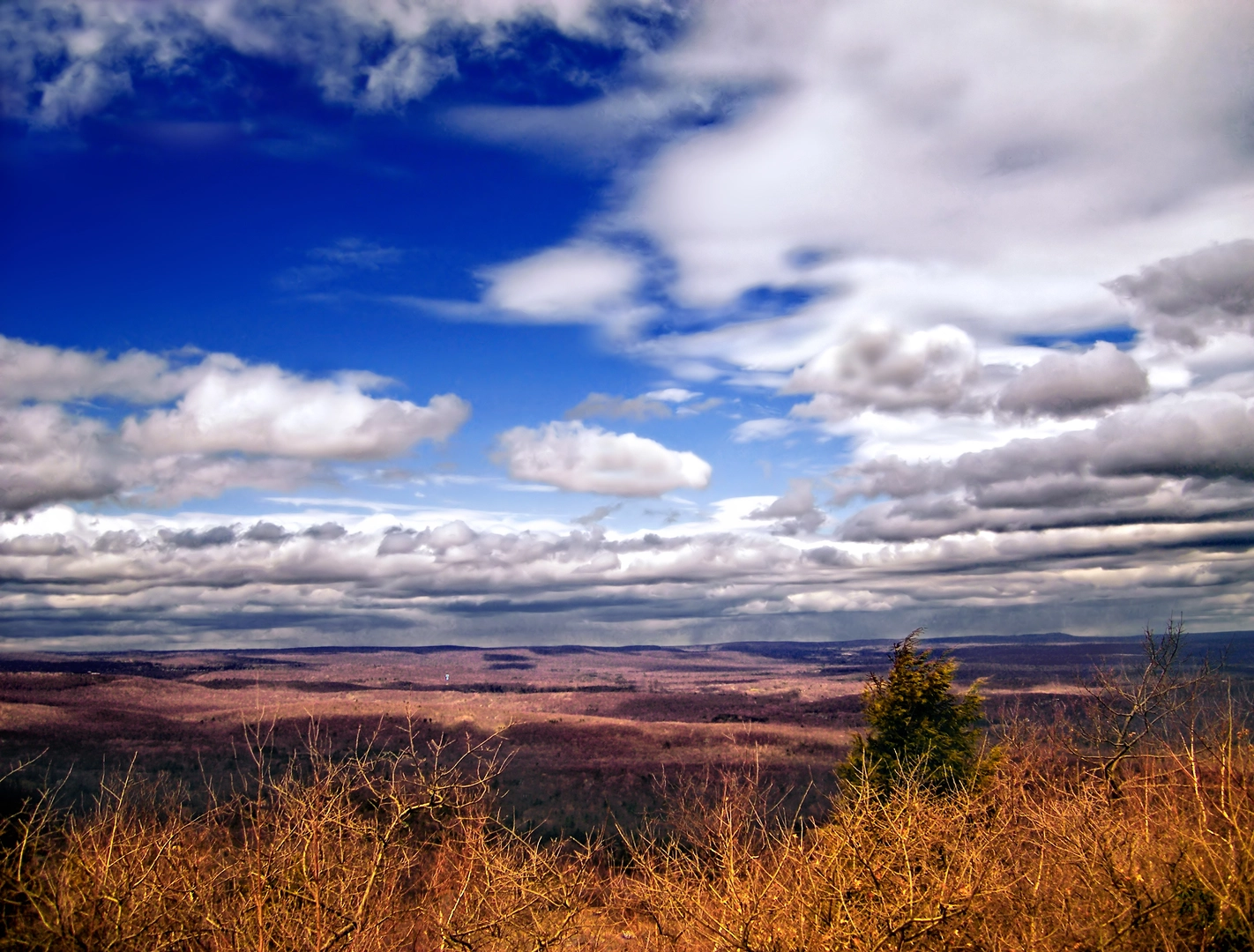 An image depicting the trail Big Pocono State Park Loop Trail and its surrounding area.
