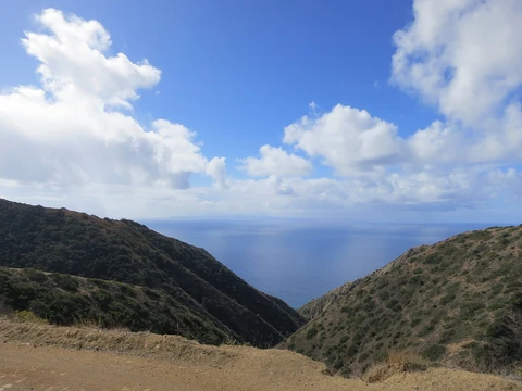 An image depicting the trail Elvira Loop and its surrounding area.