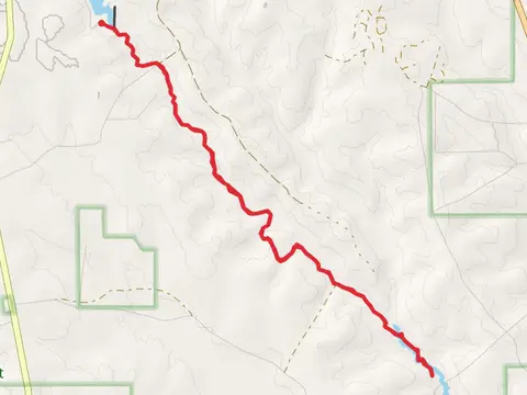 Lone Star Hiking Trail - Double Lake