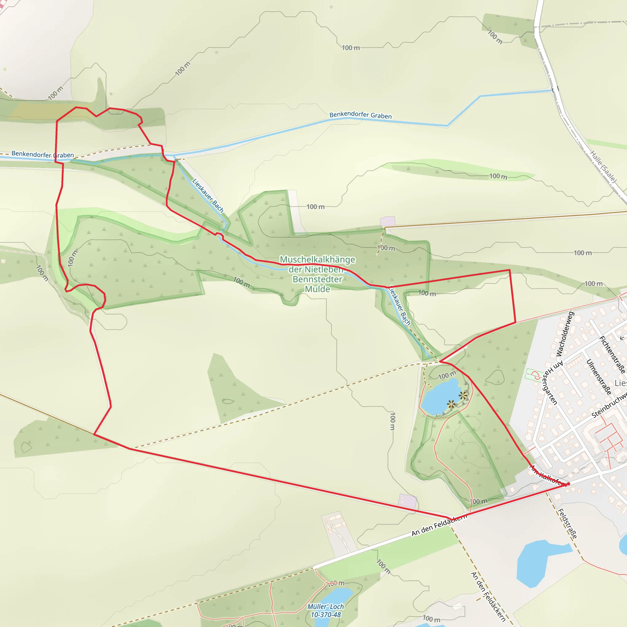 Steinbruch Lieskau Loop mobile static map