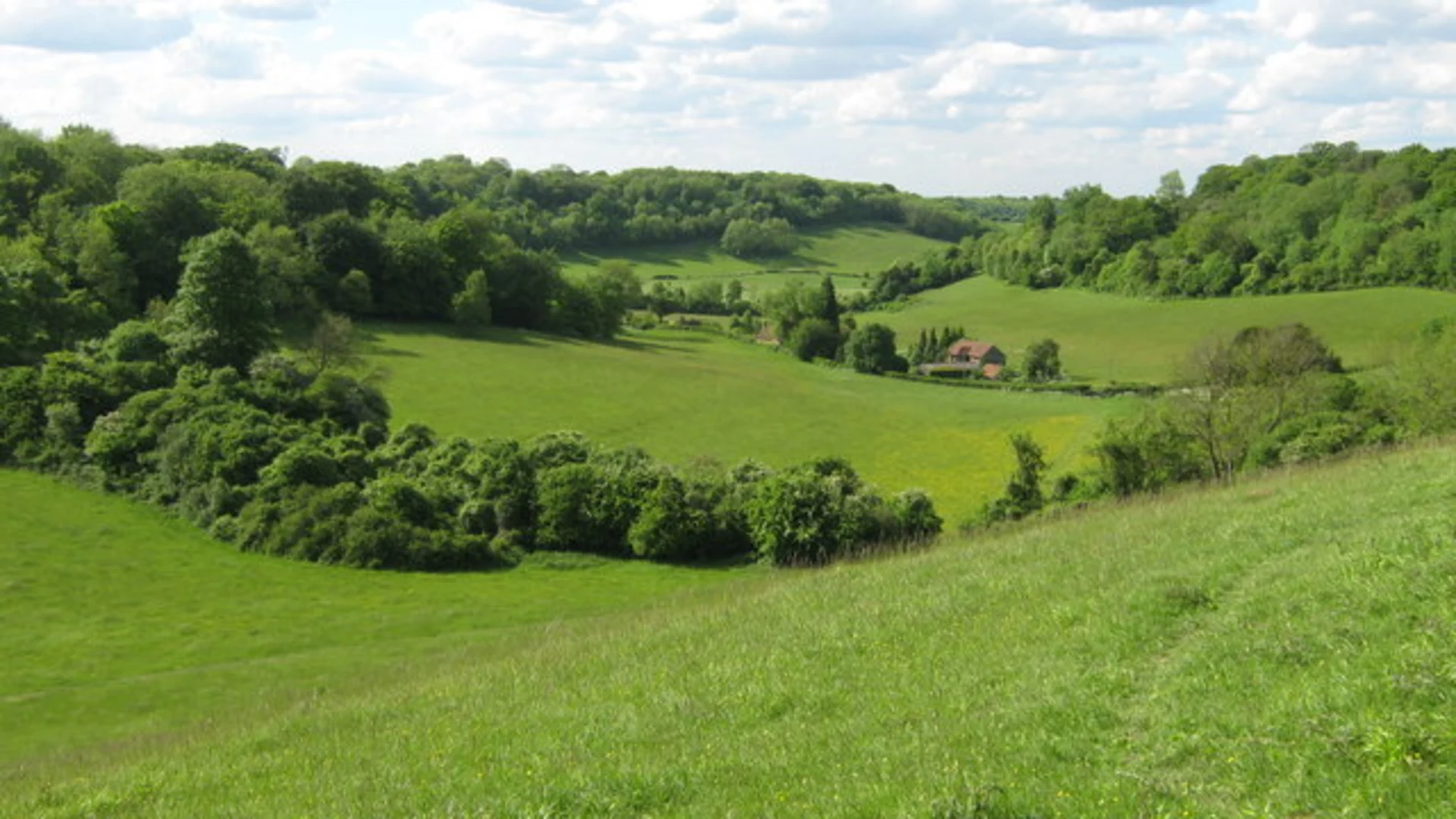 An image depicting the trail Magpie Bottom Nature Reserve Walk and its surrounding area.