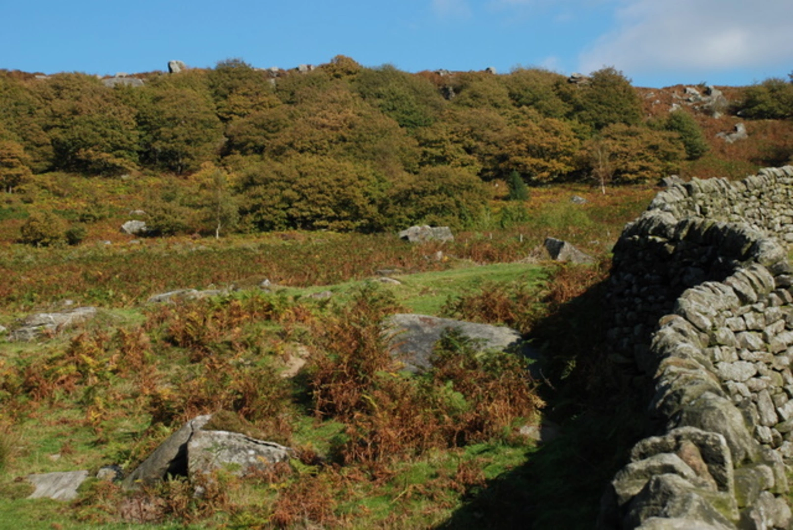 An image depicting the trail Hay Wood and River Derwent Loop and its surrounding area.