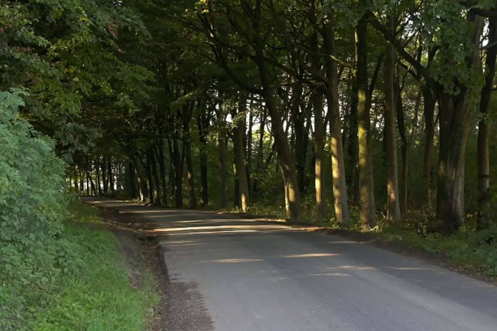 An image depicting the trail Kirkham to Huggate Walk and its surrounding area.